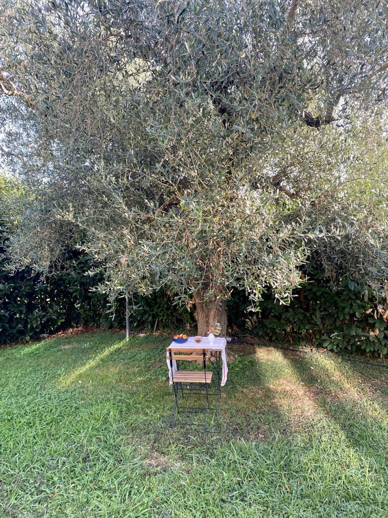 La Locanda Del Tevere Fiano Romano Exteriér fotografie
