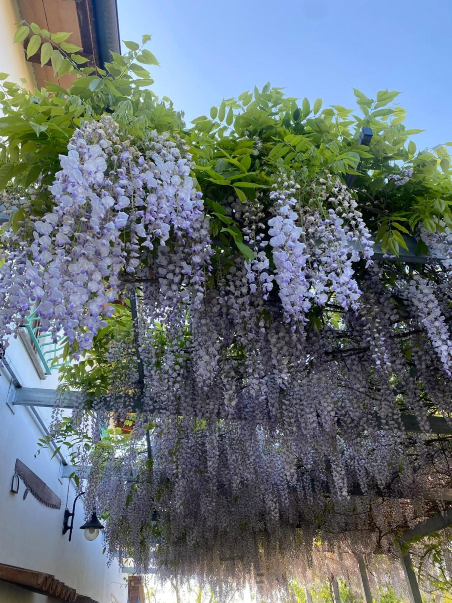La Locanda Del Tevere Fiano Romano Exteriér fotografie